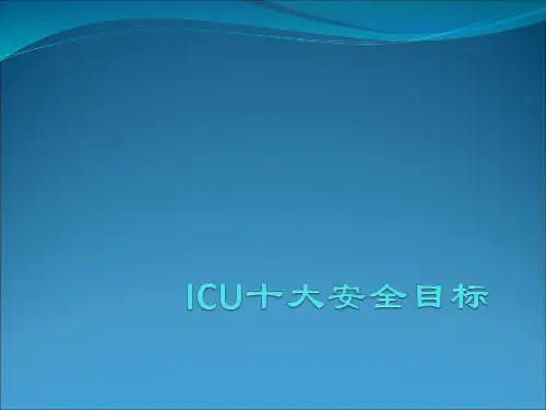 ICU十大安全目标ppt课件