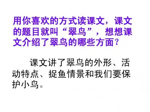 《翠鸟》ppt课件