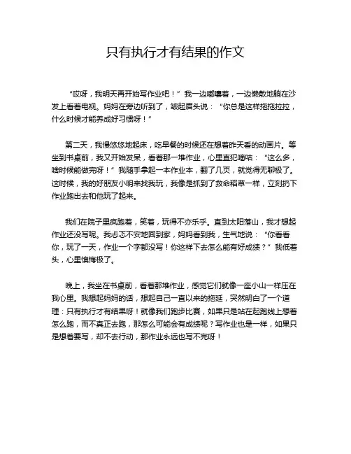 只有执行才有结果的作文