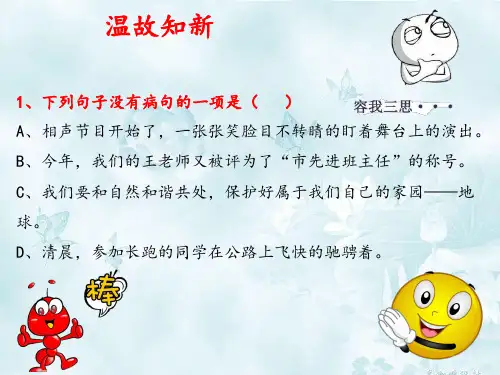 小学生基础知识训练(快速记忆和区分方法)03病句修改(完整版) (2)