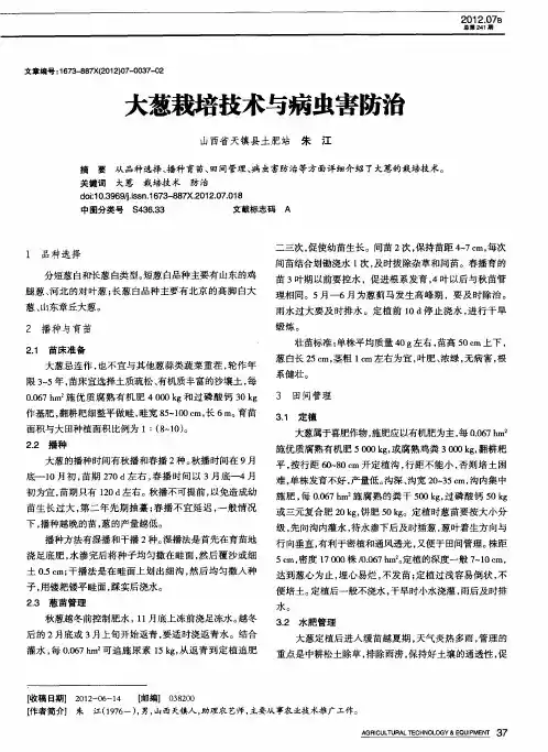 大葱栽培技术与病虫害防治