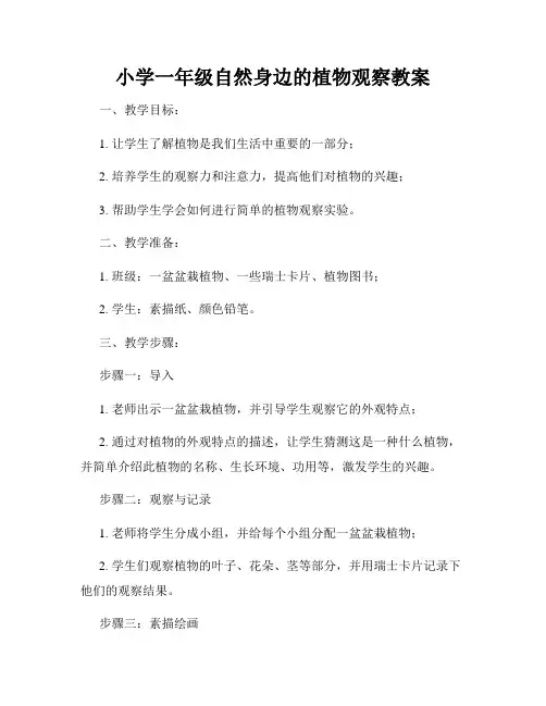 小学一年级自然身边的植物观察教案