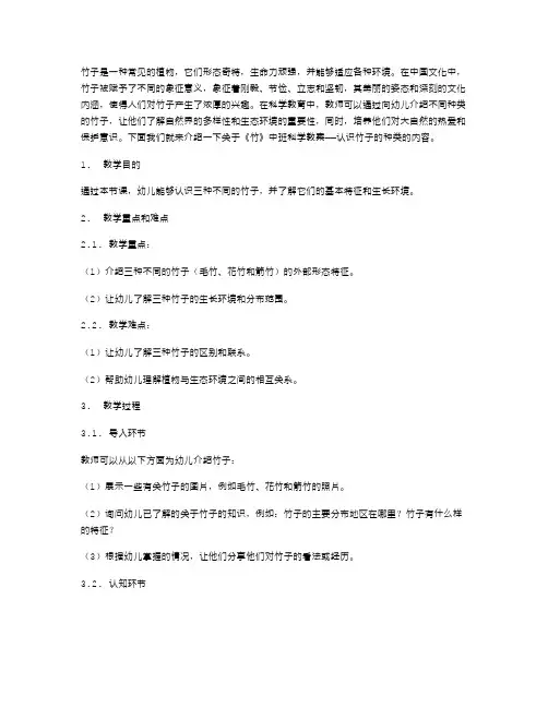 《竹》中班科学教案——认识竹子的种类