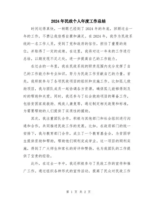 2024年民政个人年度工作总结