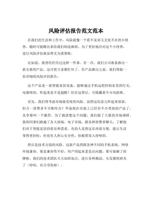 风险评估报告范文范本