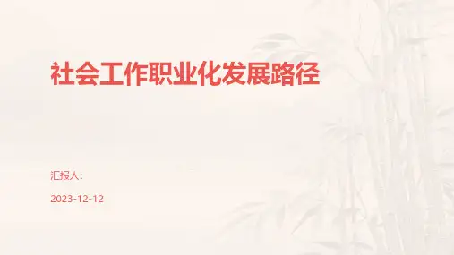 社会工作职业化发展路径