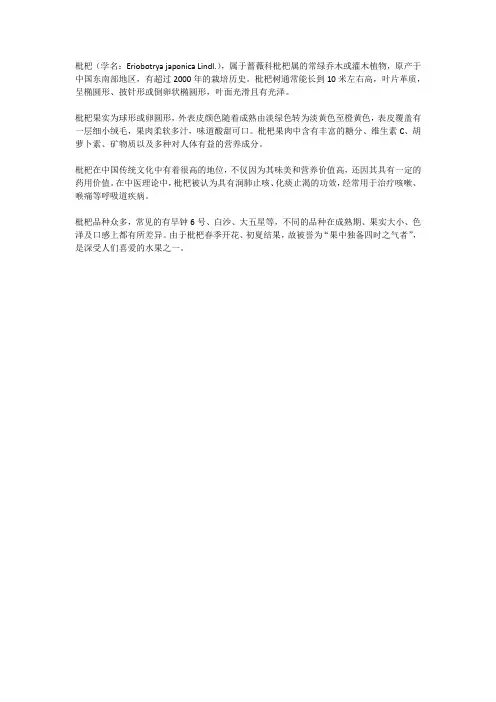 枇杷的简介