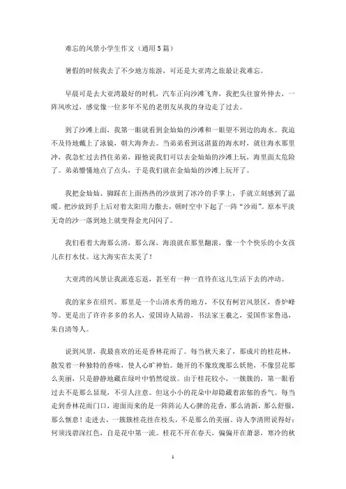 难忘的风景小学生作文(通用5篇)(最新)