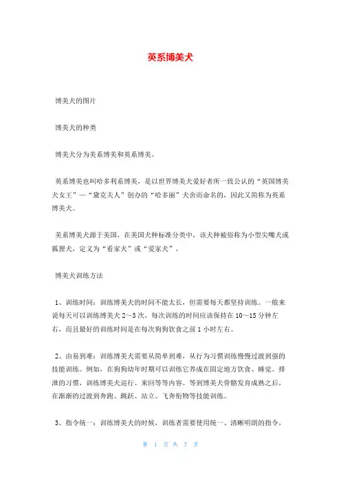 英系博美犬