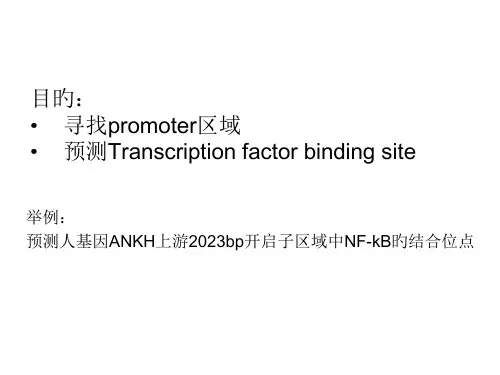 寻找启动子区域和预测转录因子结合位点