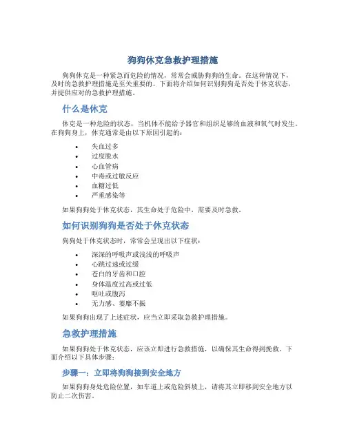 狗狗休克急救护理措施