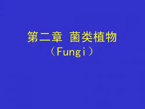 菌类、地衣、苔藓