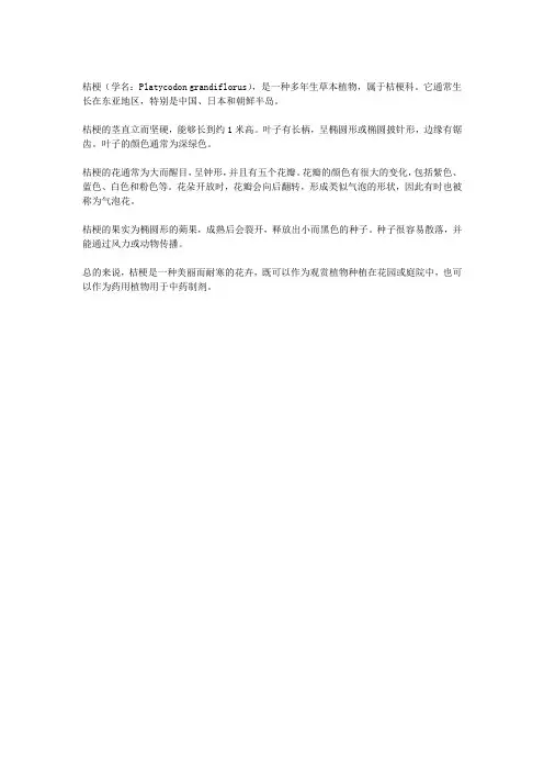 桔梗长什么样