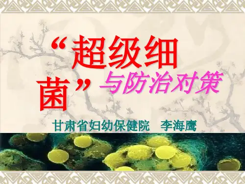 超级细菌