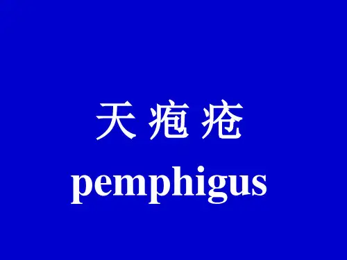 天疱疮讲课版