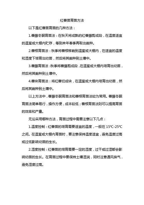 红薯苗育苗方法