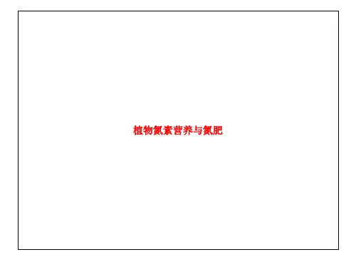 植物氮素营养与氮肥