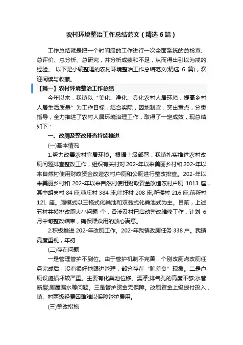 农村环境整治工作总结范文（精选6篇）