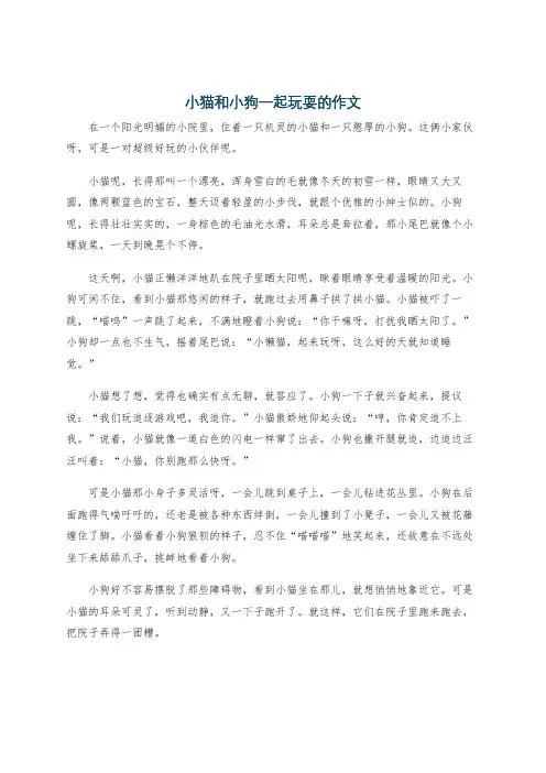 小猫和小狗一起玩耍的作文