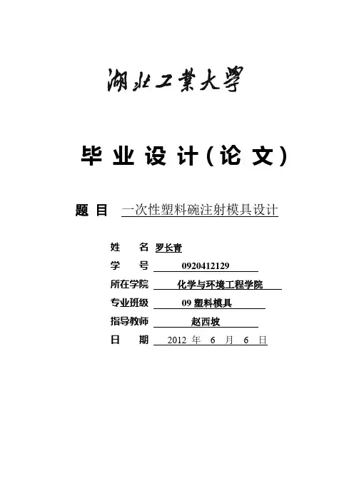 罗(29)开题报告