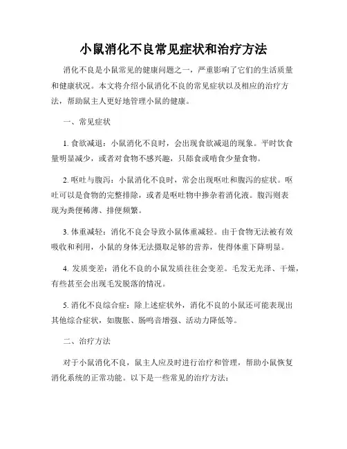 小鼠消化不良常见症状和治疗方法