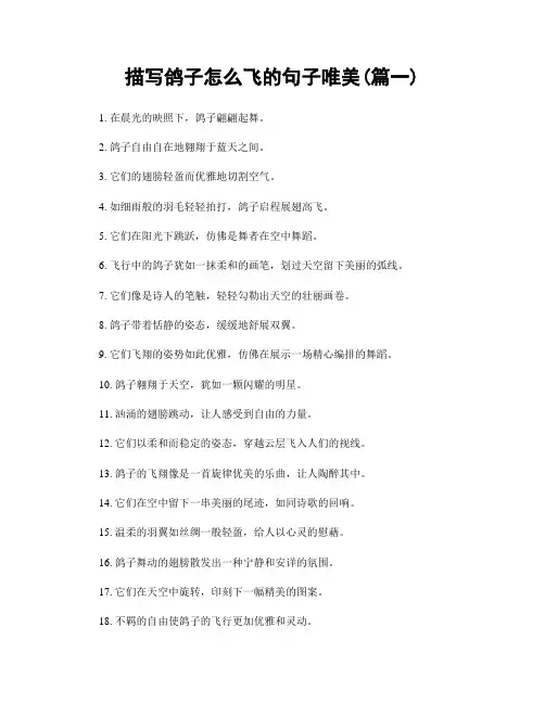 描写鸽子怎么飞的句子唯美(精选合集2篇)