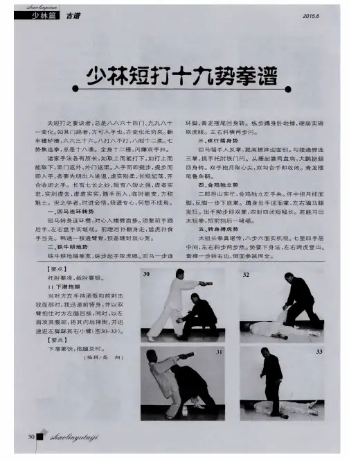 少林短打十九势拳谱