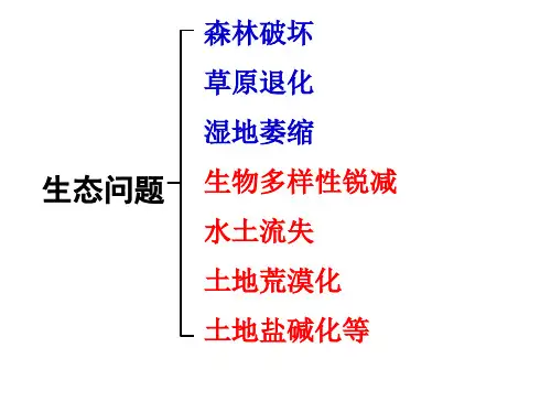 选修地理：环境保护之生态问题：森林破坏(共23张PPT)