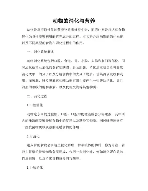 动物的消化与营养