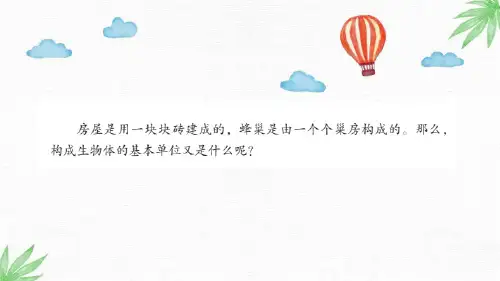 1.细胞  科学六年级上册第一课课件 青岛版