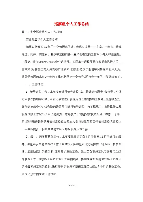 巡察组个人工作总结
