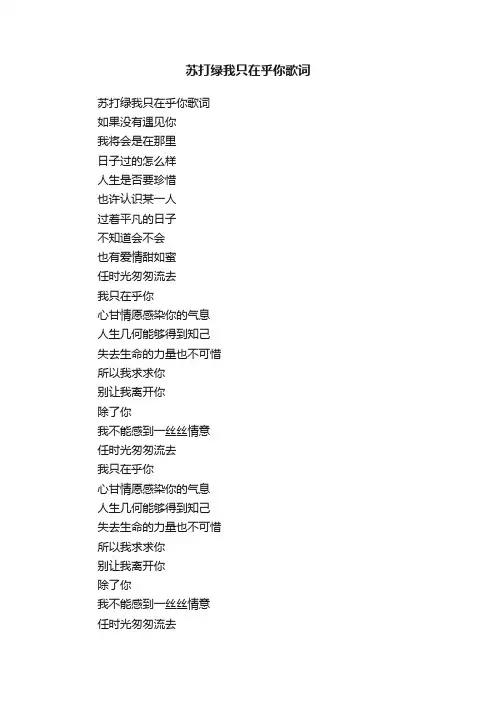 苏打绿我只在乎你歌词