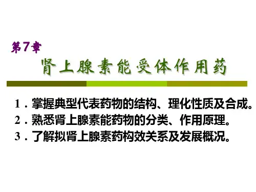 第七章-肾上腺素能受体作用药