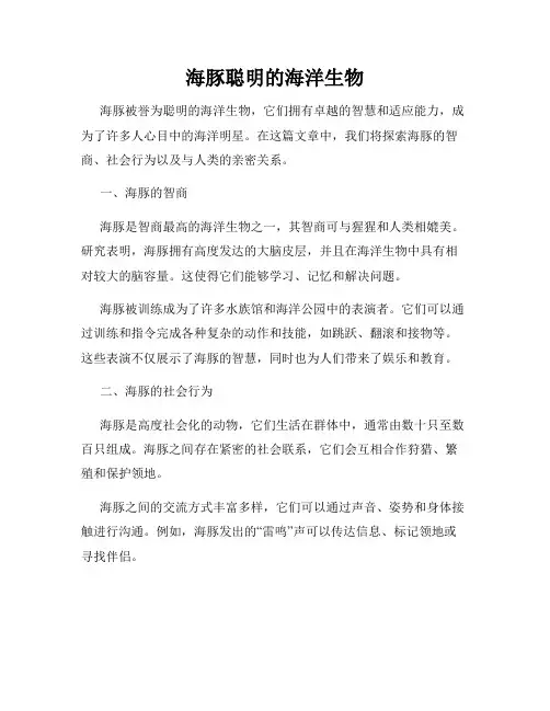 海豚聪明的海洋生物