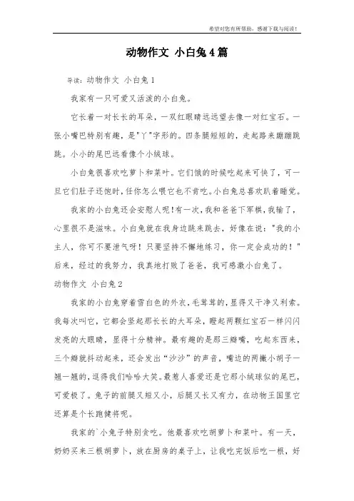 动物作文 小白兔4篇