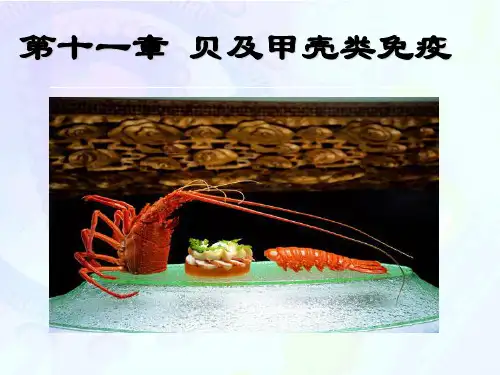 11-虾、蟹及贝类
