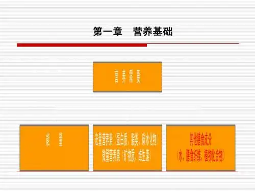 营养学  第一章 营养素 第一节至第三节