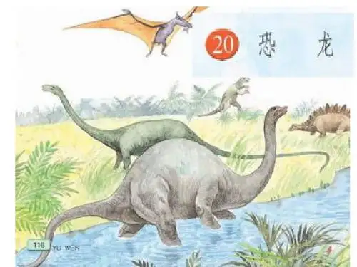 20恐龙