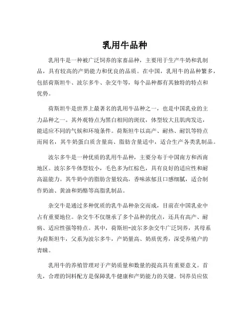 乳用牛品种