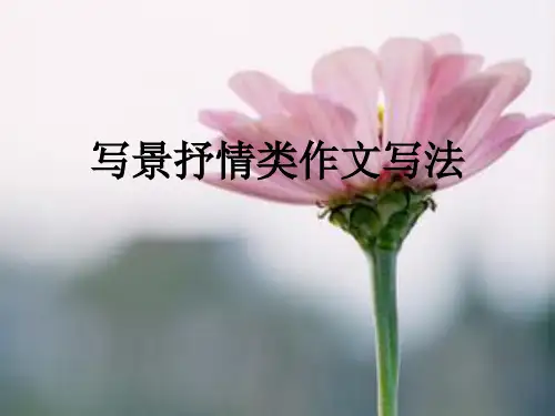 初中作文写景抒情类作文写法PPT (共37张PPT)