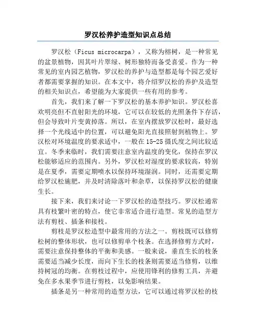 罗汉松养护造型知识点总结