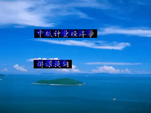 计量经济学导论