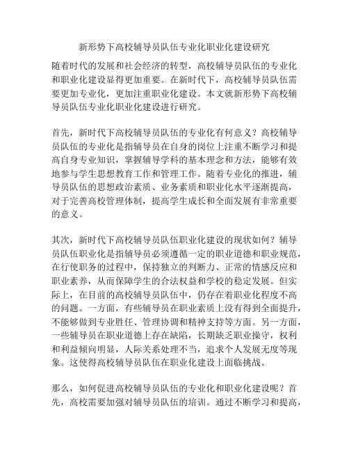 新形势下高校辅导员队伍专业化职业化建设研究