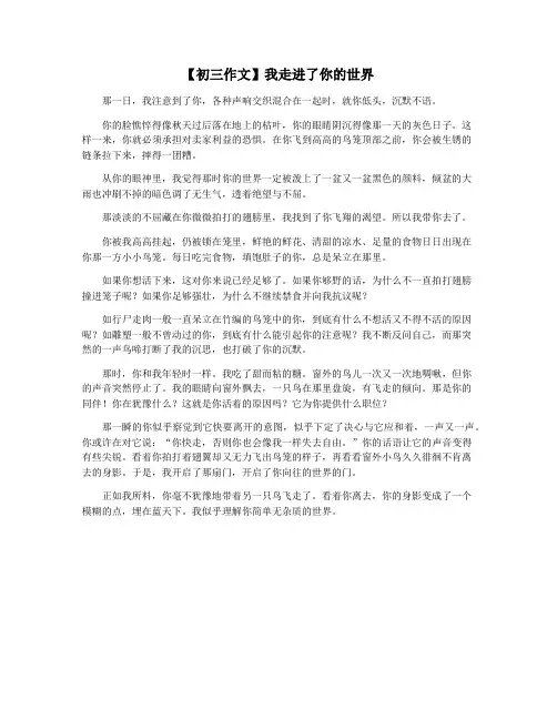 【初三作文】我走进了你的世界