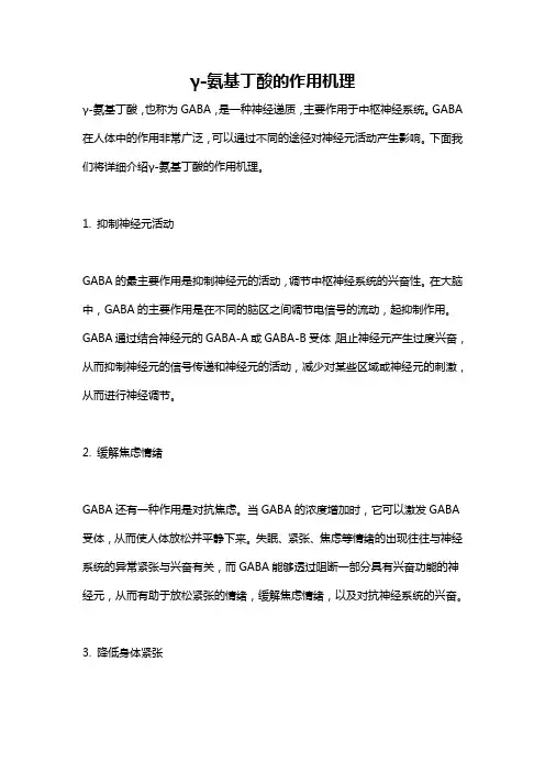 γ-氨基丁酸的作用机理