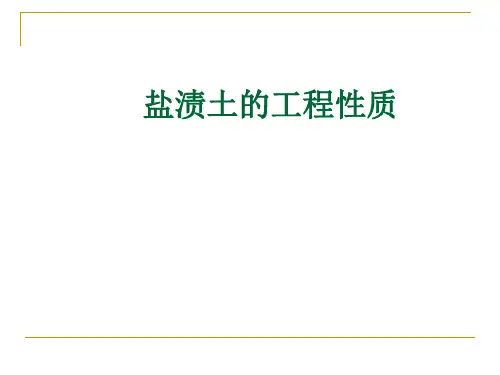 盐渍土的工程性质 精品