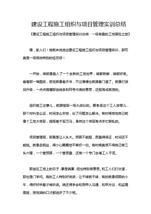 建设工程施工组织与项目管理实训总结