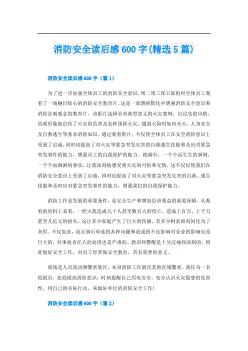 消防安全读后感600字(精选5篇)