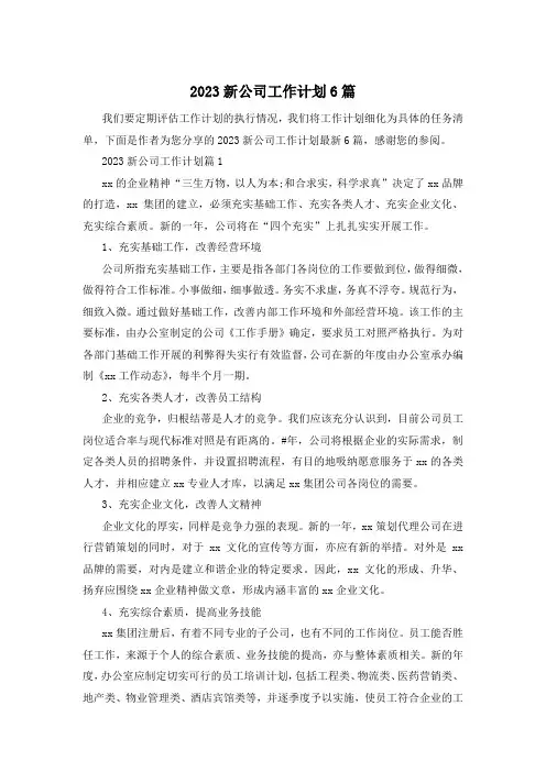 2023新公司工作计划6篇