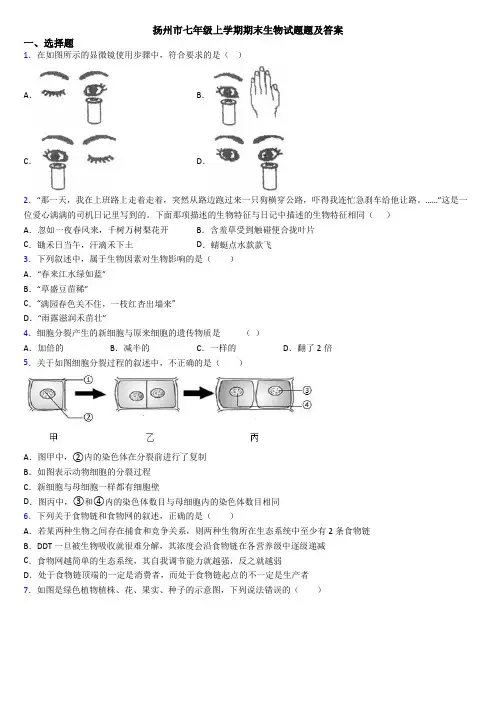 扬州市七年级上学期期末生物试题题及答案